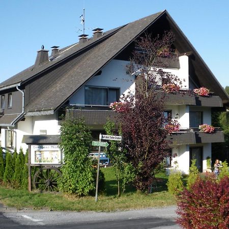 Ferienwohnungen Landhaus Meran Willingen  Exterior foto