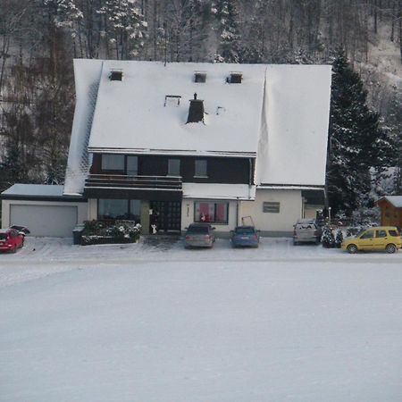 Ferienwohnungen Landhaus Meran Willingen  Exterior foto