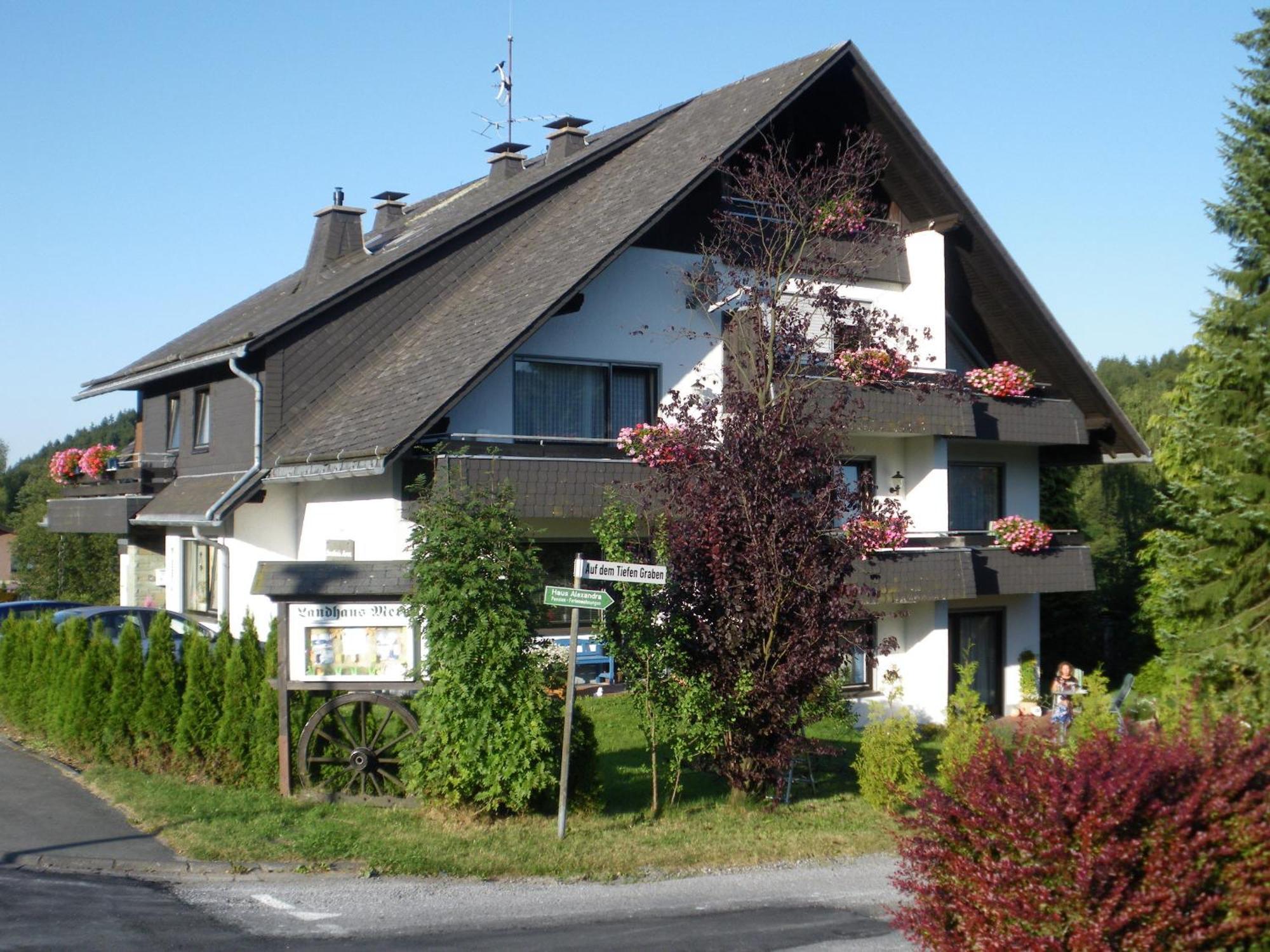 Ferienwohnungen Landhaus Meran Willingen  Exterior foto