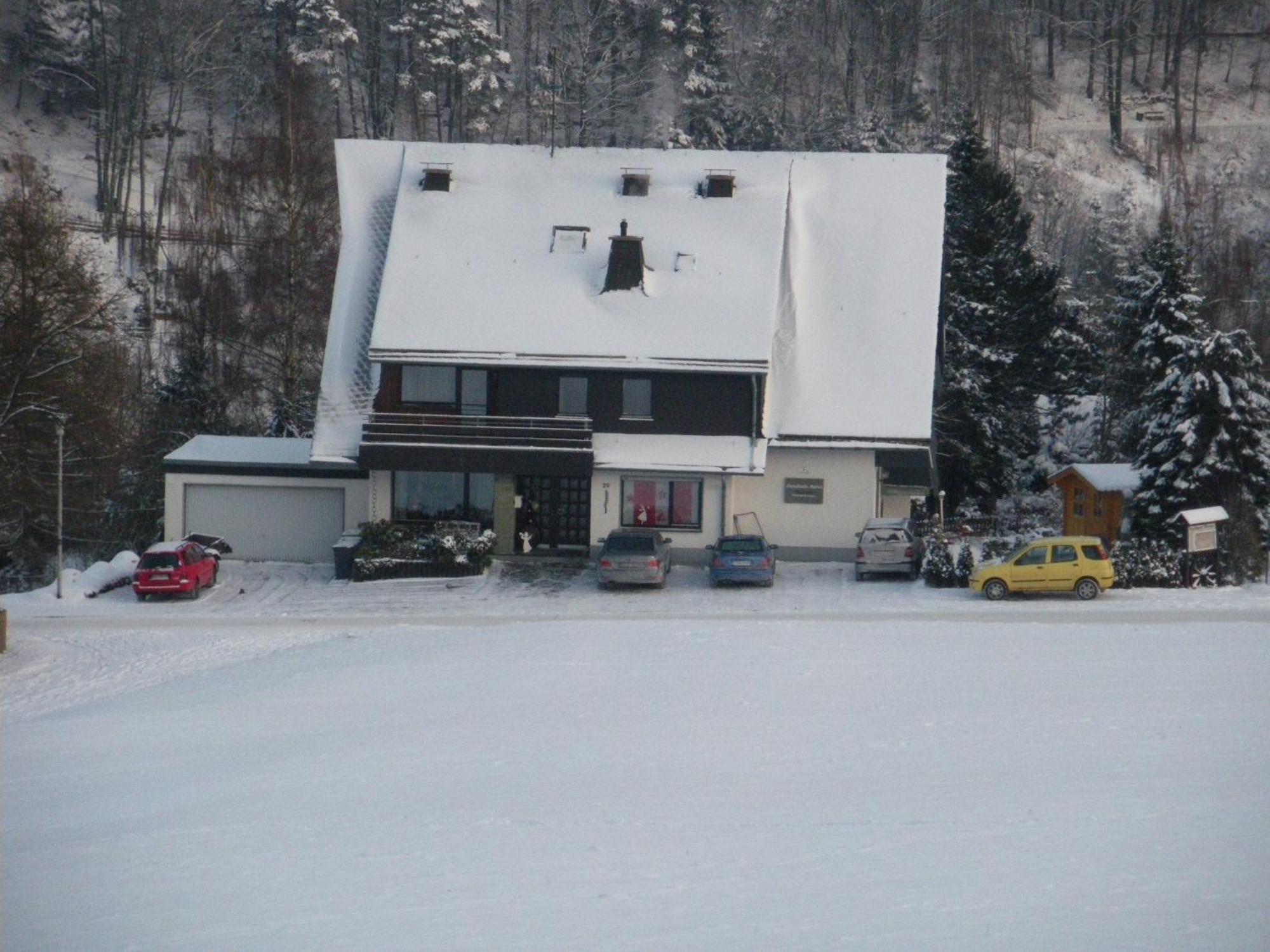Ferienwohnungen Landhaus Meran Willingen  Exterior foto