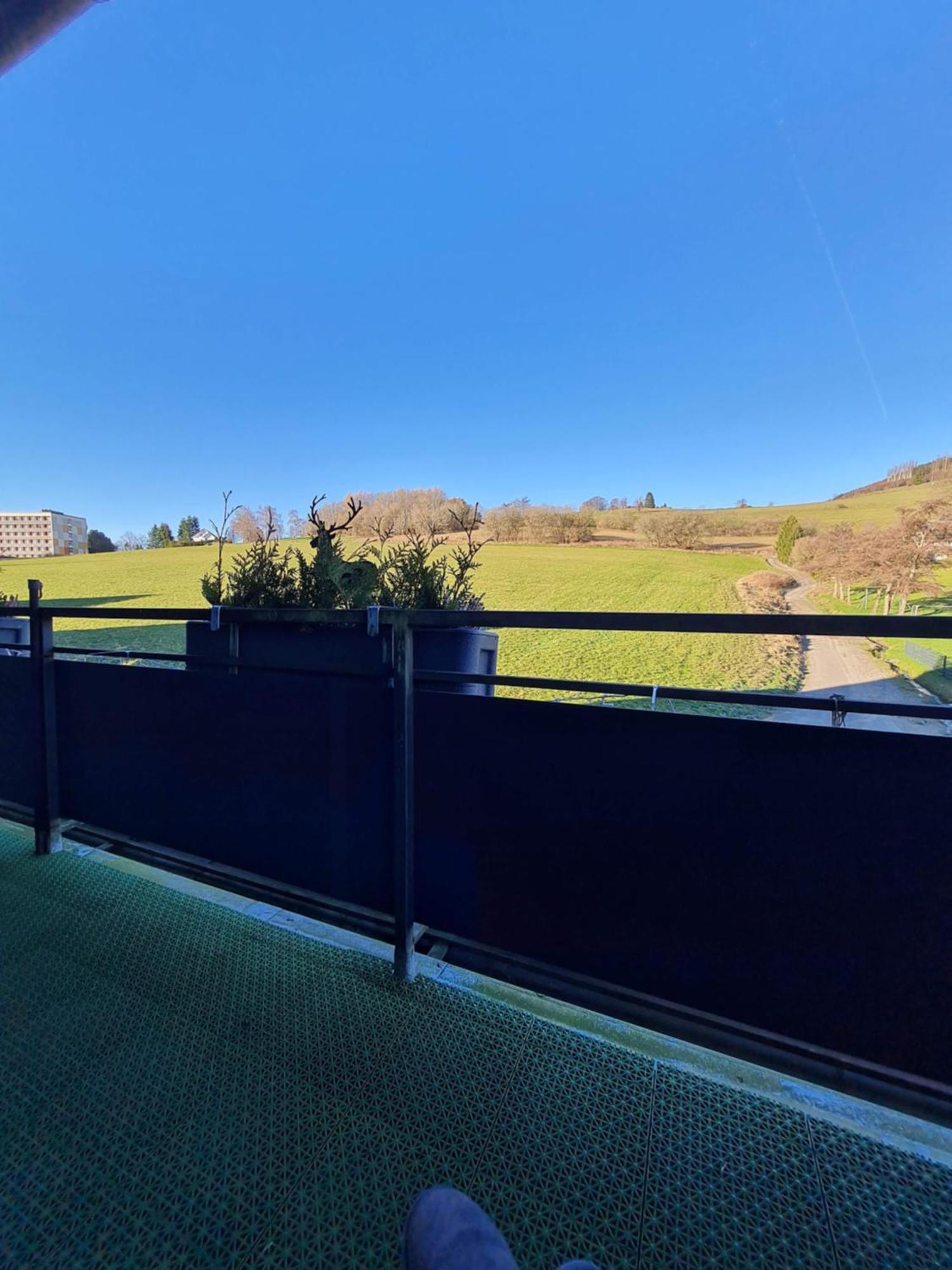 Ferienwohnungen Landhaus Meran Willingen  Exterior foto