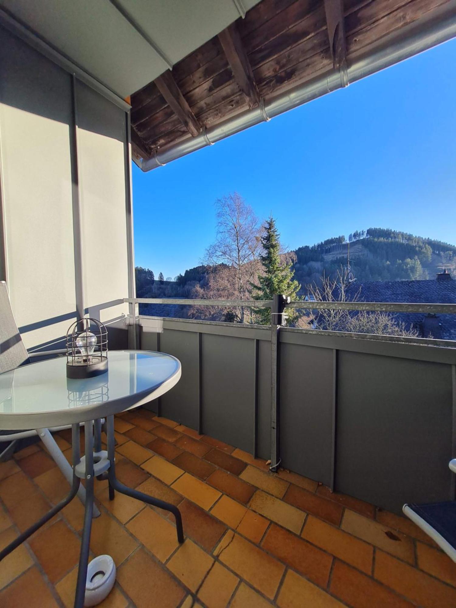 Ferienwohnungen Landhaus Meran Willingen  Exterior foto